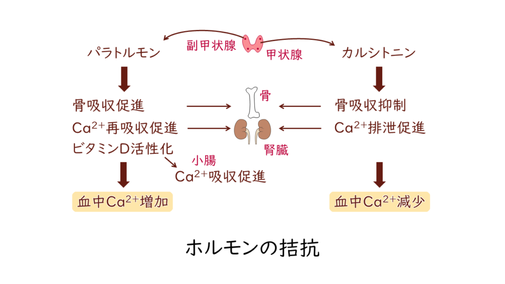迅果-高效官网下载首页 极速通道